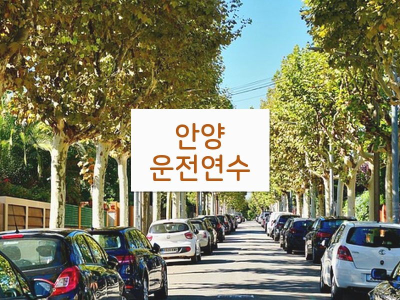안양운전연수 후기