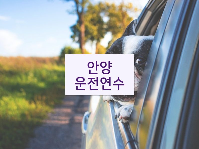 안양운전연수 후기