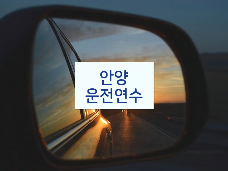 안양운전연수 후기