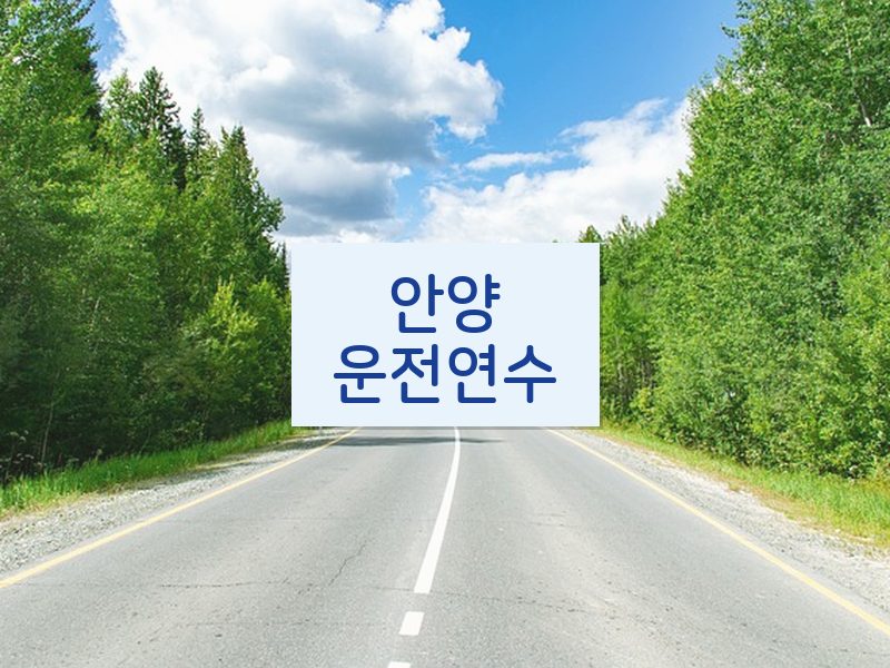 안양운전연수 후기
