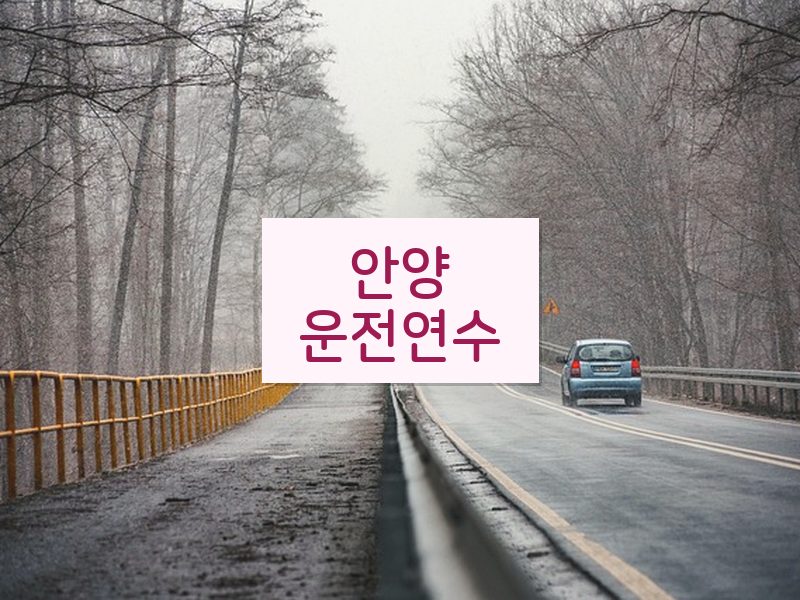 안양운전연수 후기