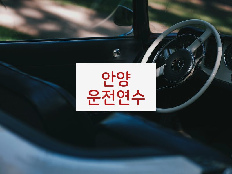 안양운전연수 후기