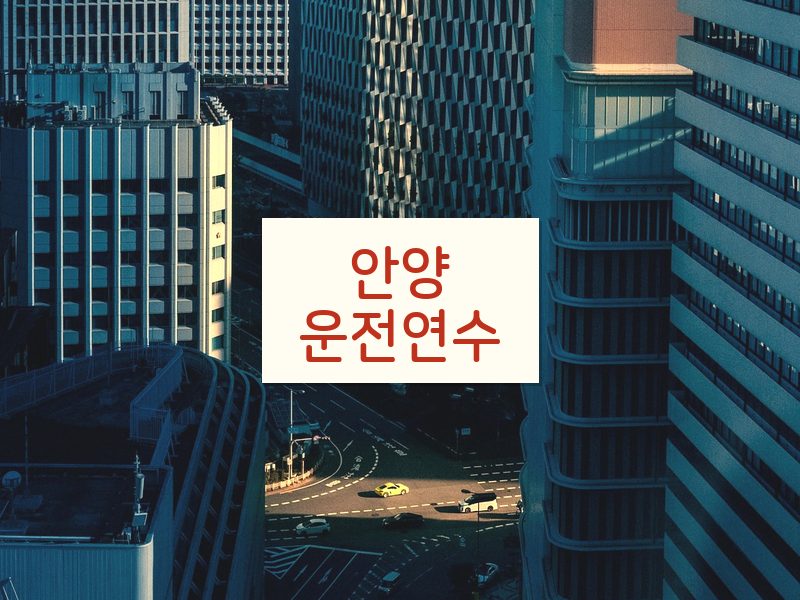 안양운전연수 후기