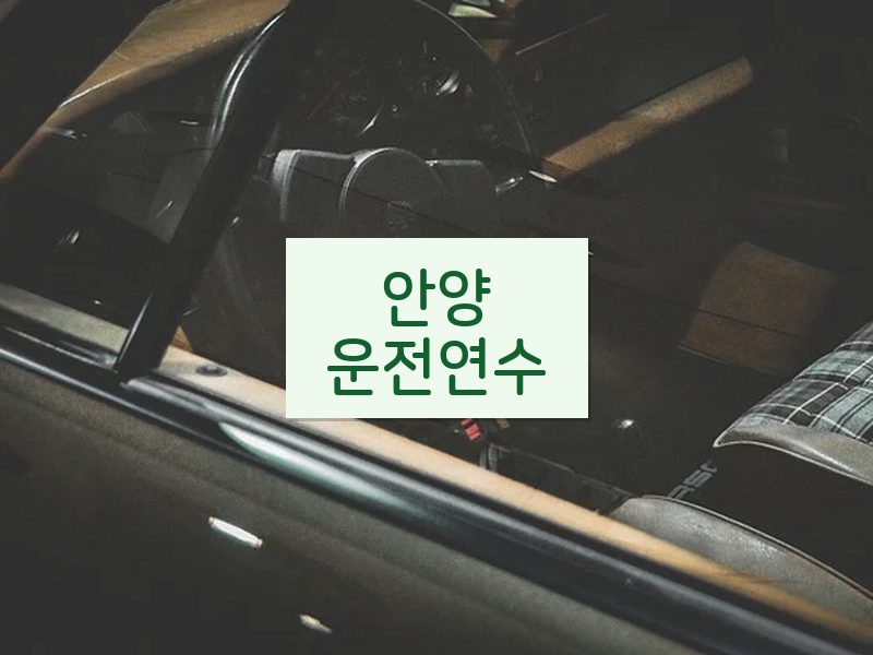안양운전연수 후기