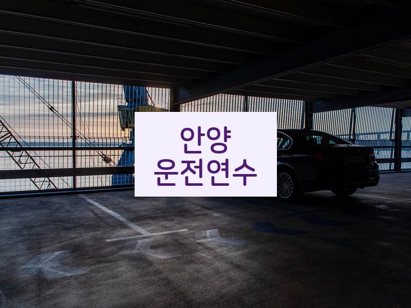안양운전연수 후기