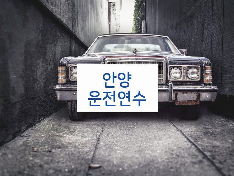 안양운전연수 후기
