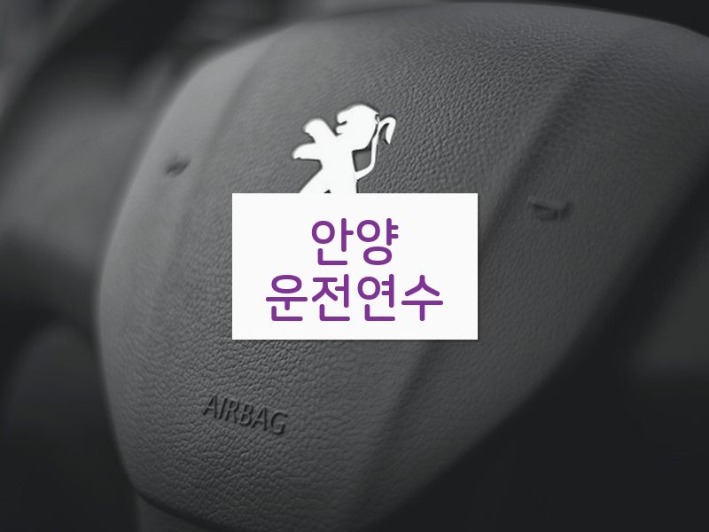 안양운전연수 후기