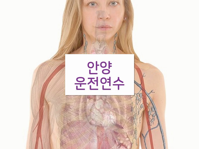 안양운전연수 후기