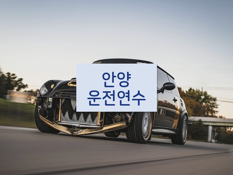 안양운전연수 후기
