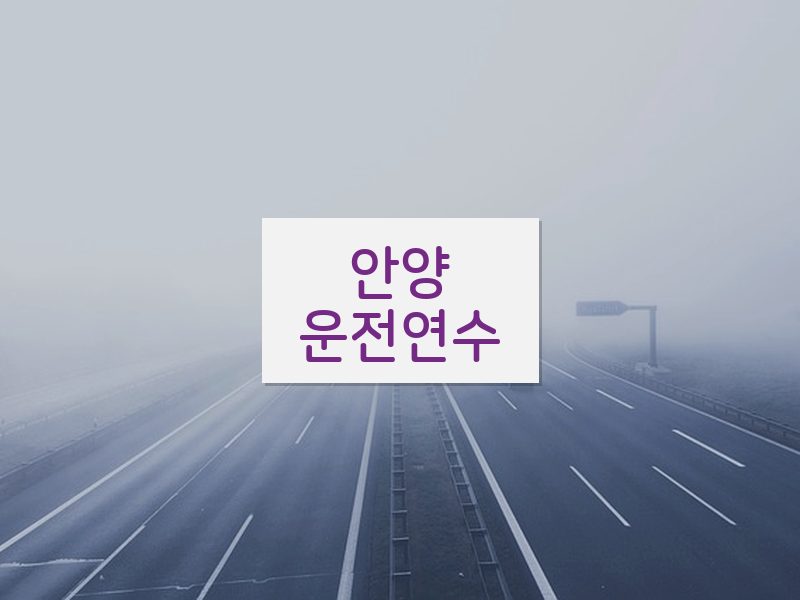 안양운전연수 후기