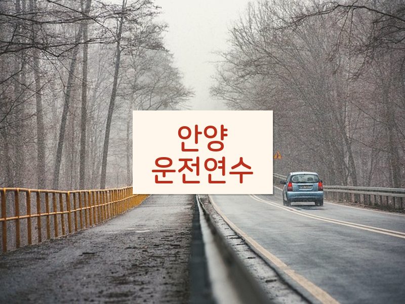 안양운전연수 후기