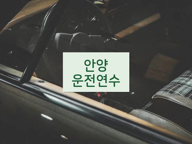 안양운전연수 후기