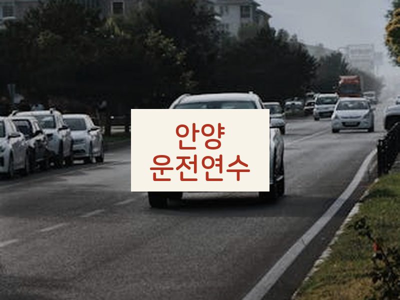 안양운전연수 후기