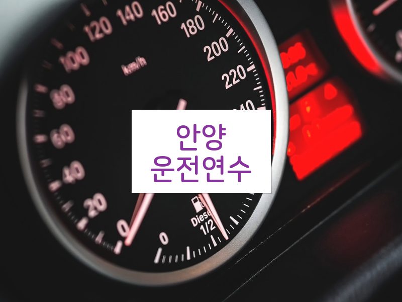 안양운전연수 후기