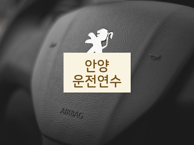 안양운전연수 후기
