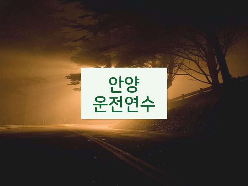 안양운전연수 후기