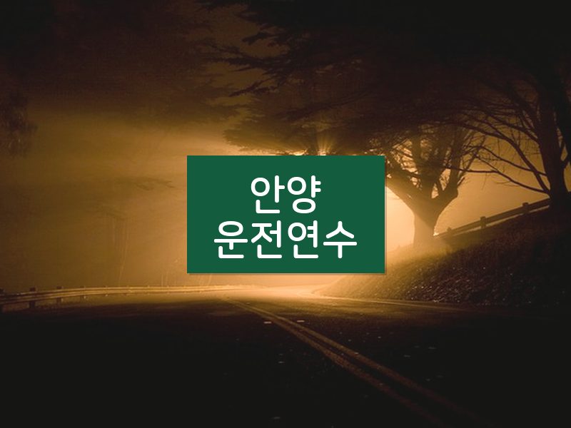 안양운전연수 후기