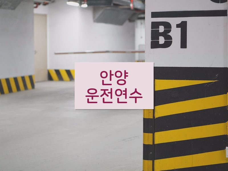 안양운전연수 후기