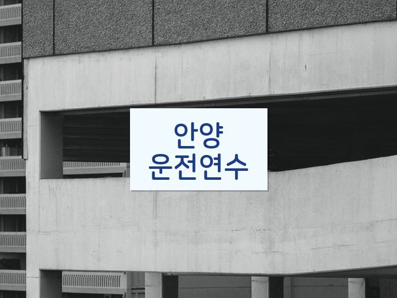 안양운전연수 후기