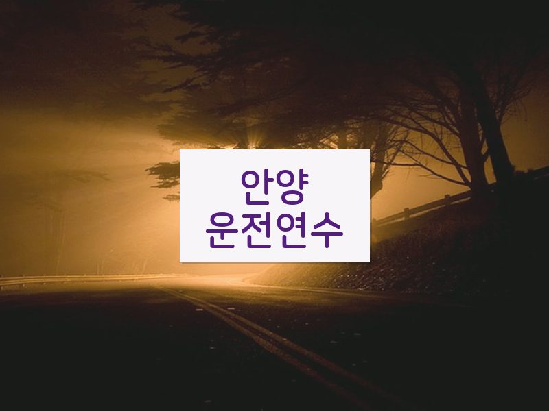안양운전연수 후기
