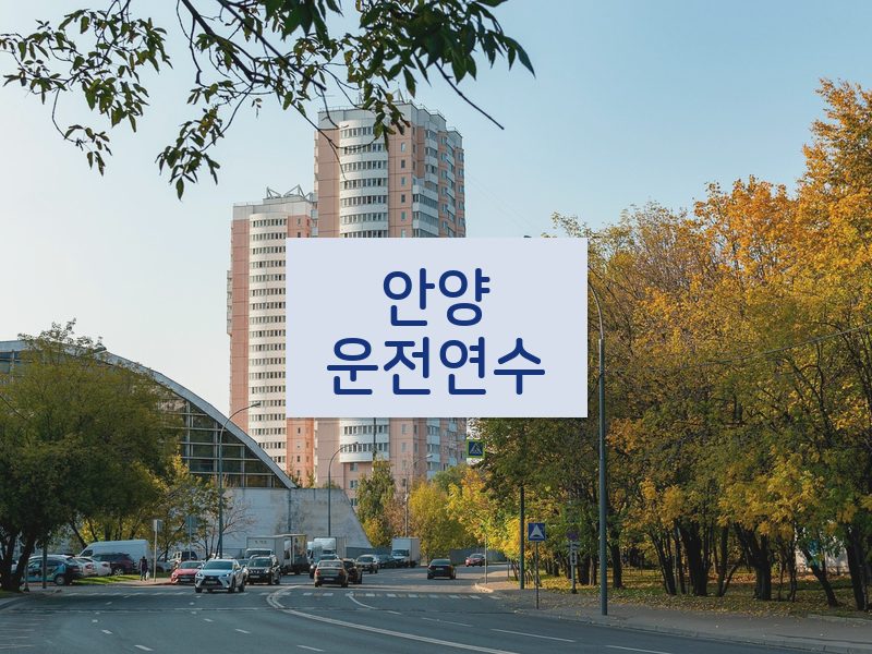 안양운전연수 후기