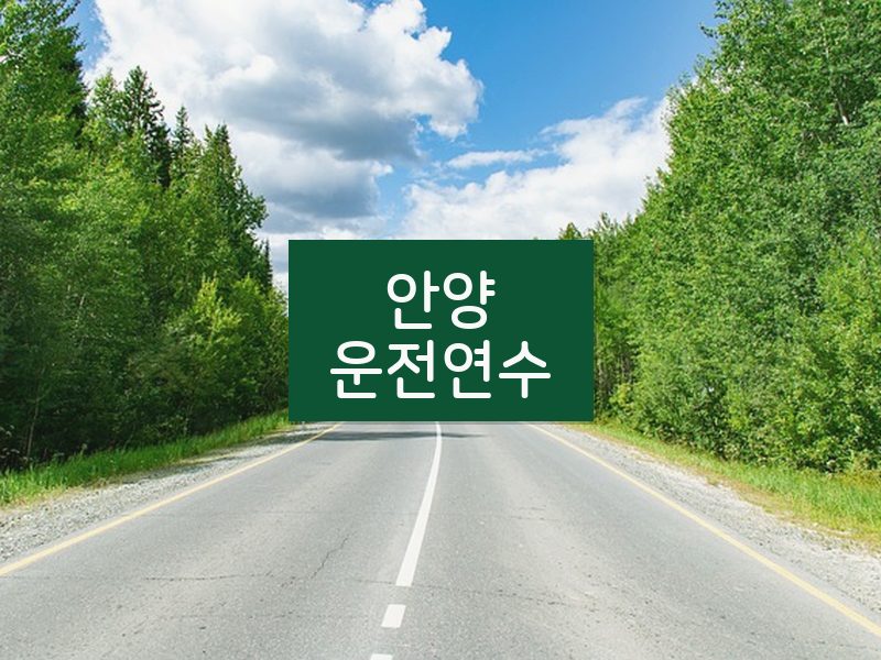 안양운전연수 후기