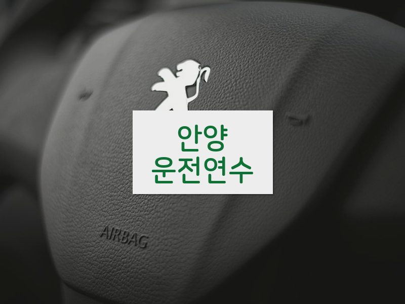 안양운전연수 후기