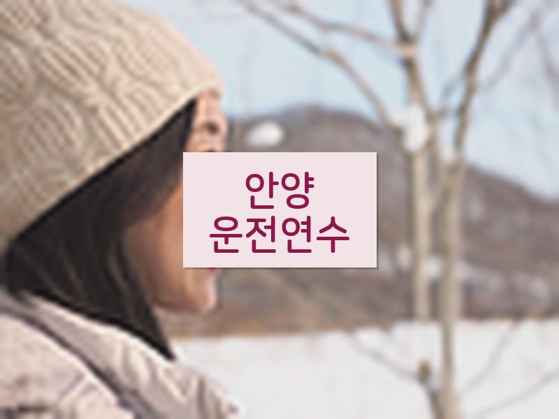 안양운전연수 후기
