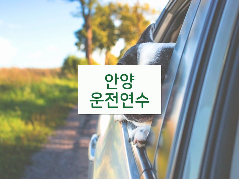안양운전연수 후기