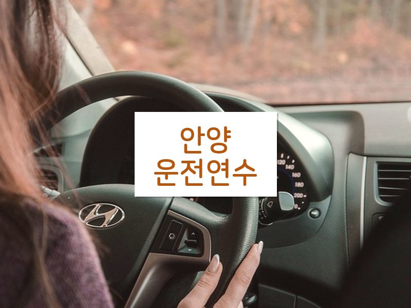 안양운전연수 후기
