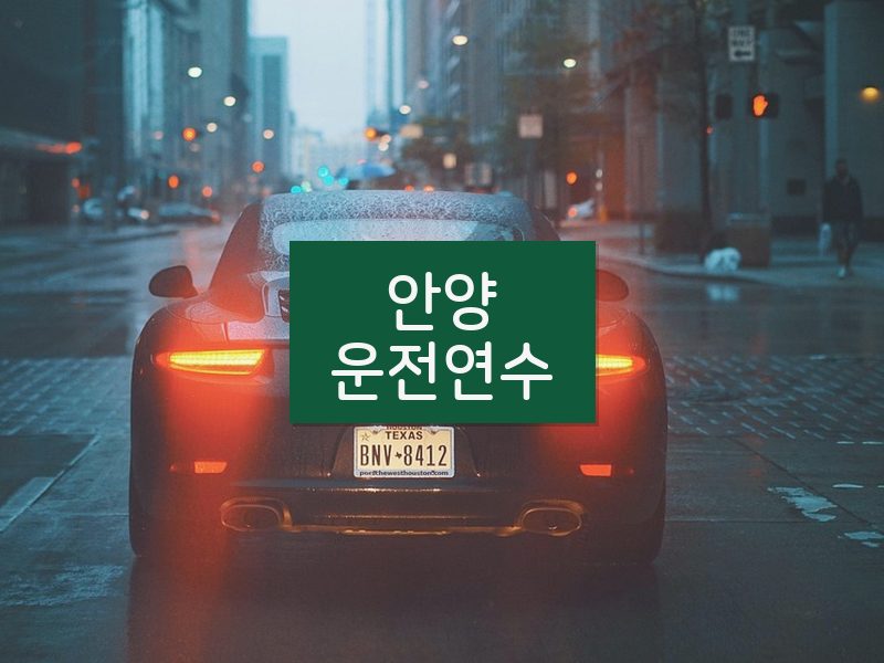 안양운전연수 후기