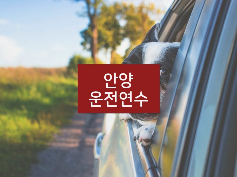 안양운전연수 후기