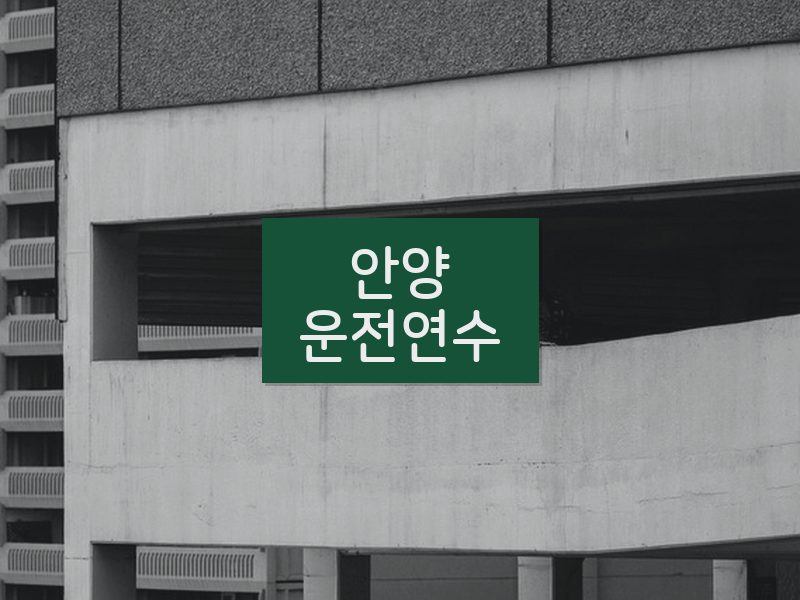 안양운전연수 후기