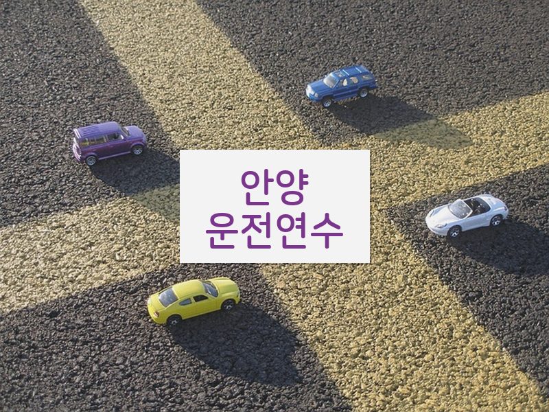안양운전연수 후기