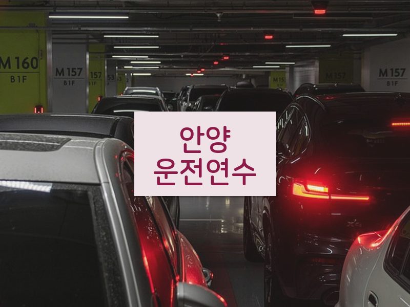 안양운전연수 후기