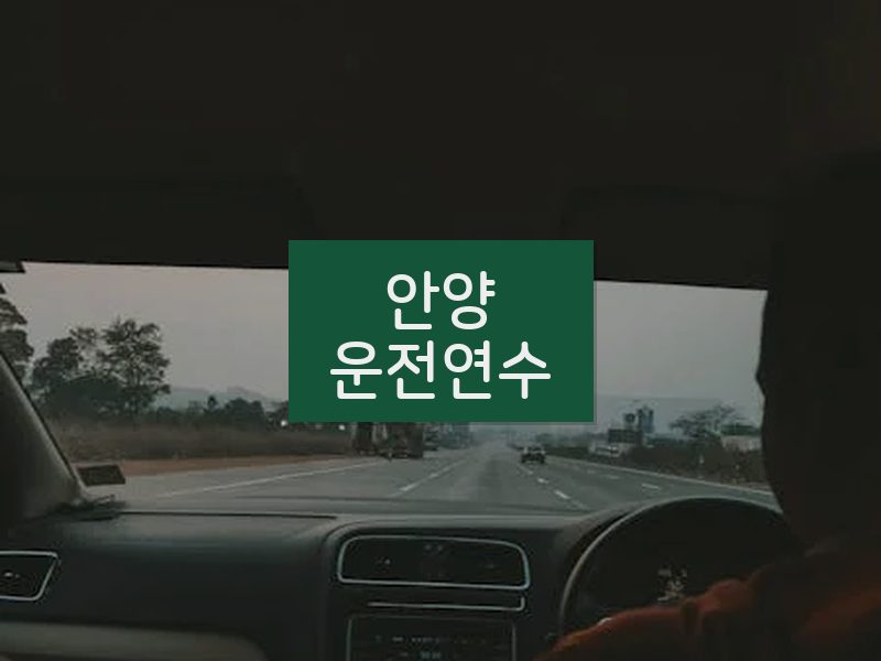 안양운전연수 후기