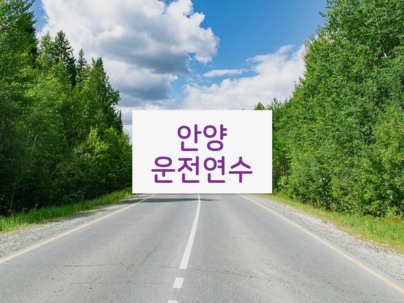 안양운전연수 후기