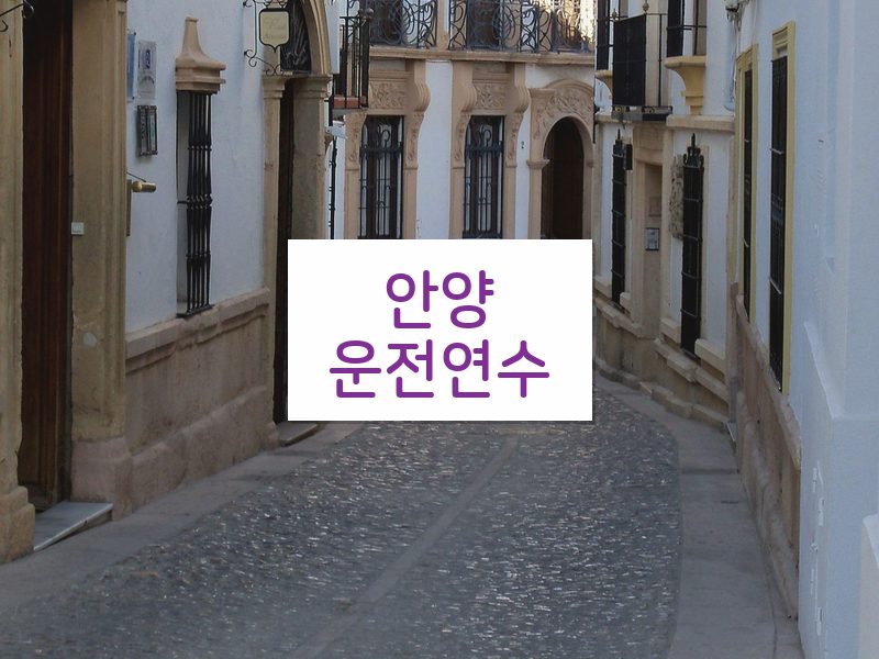 안양운전연수 후기
