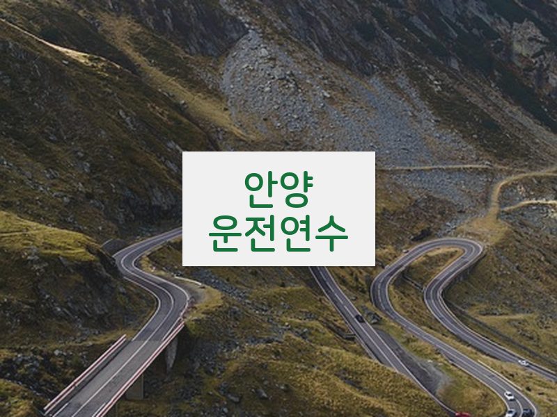 안양운전연수 후기