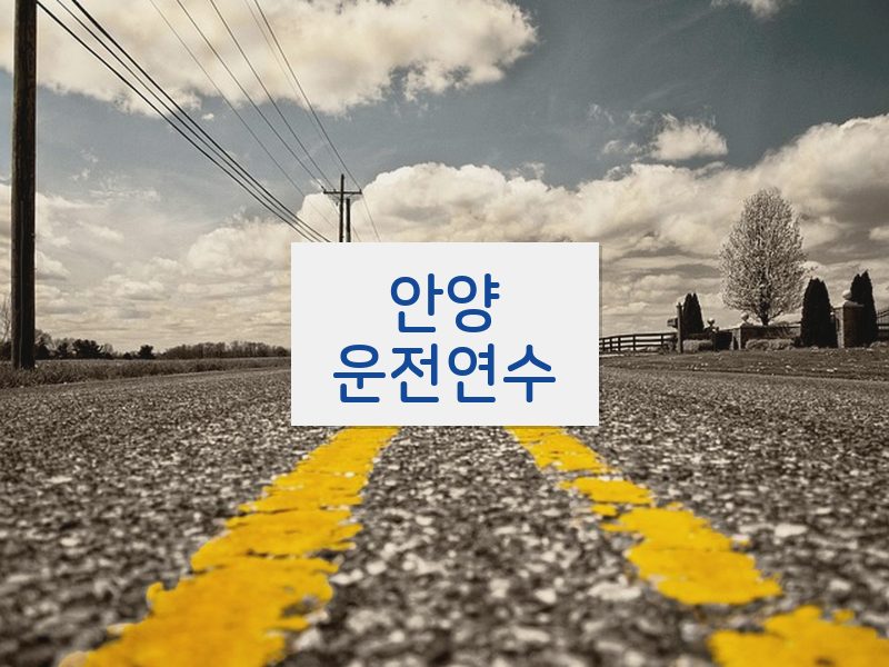 안양운전연수 후기