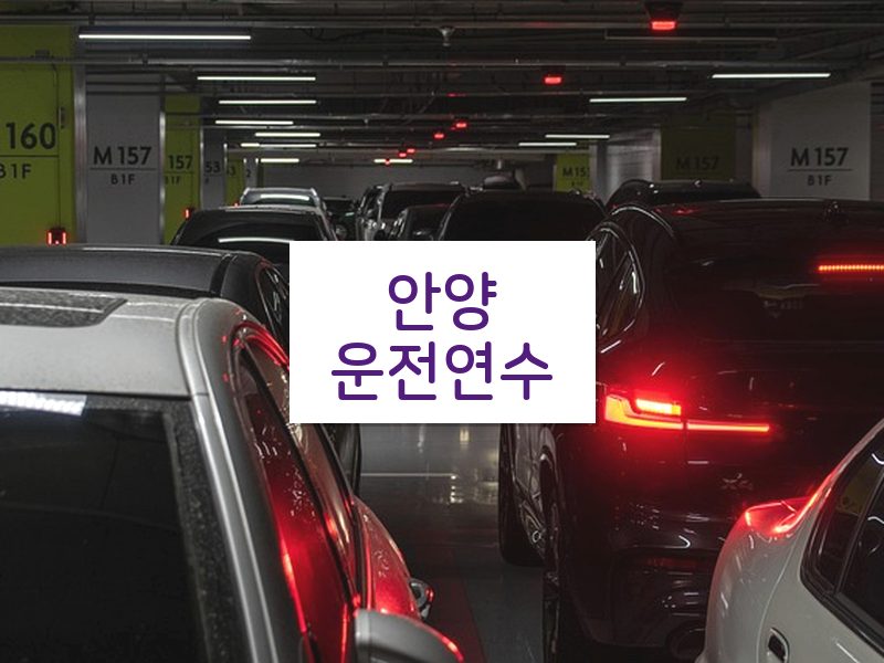 안양운전연수 후기
