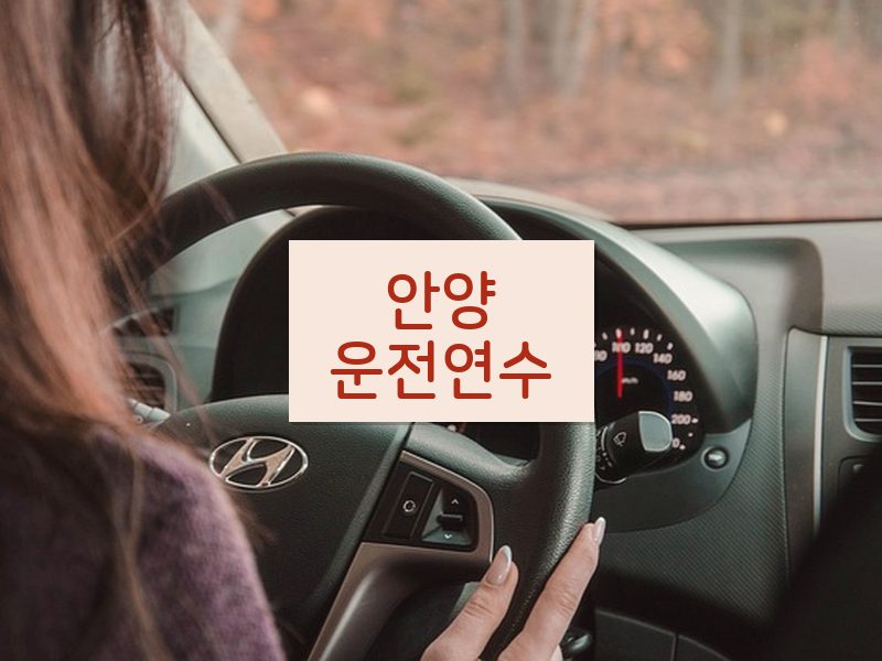 안양운전연수 후기