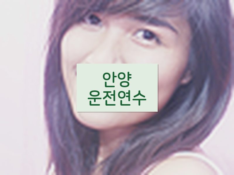 안양운전연수 후기