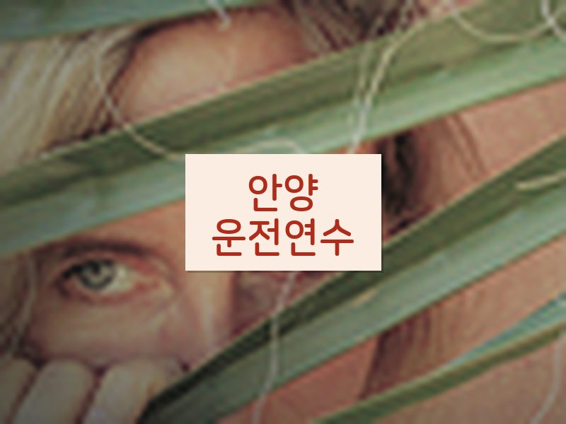 안양운전연수 후기