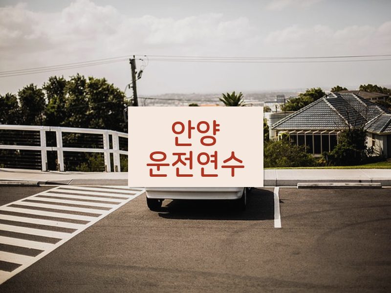 안양운전연수 후기