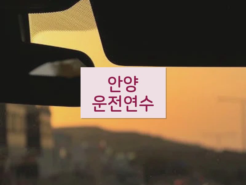 안양운전연수 후기