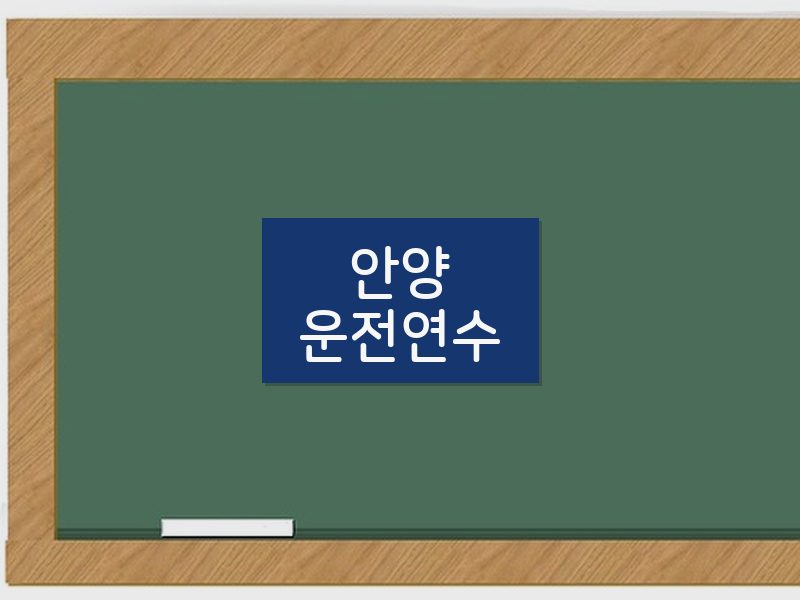 안양운전연수 후기