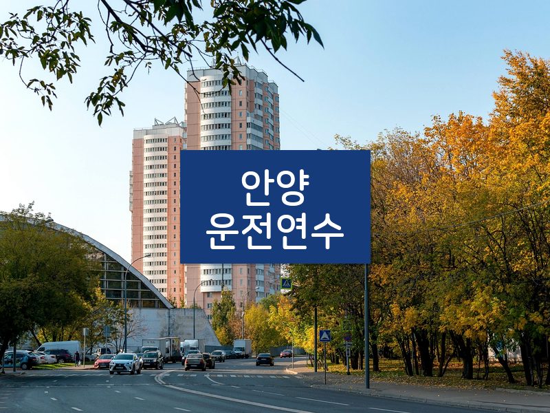 안양운전연수 후기