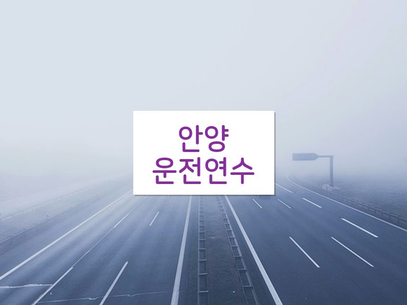 안양운전연수 후기