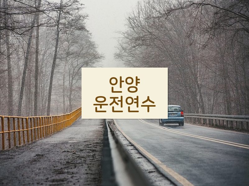 안양운전연수 후기